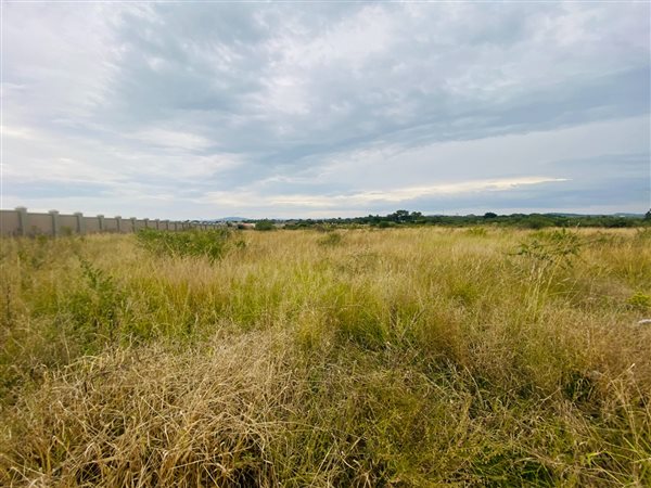 1 ha Land 1 ha Land