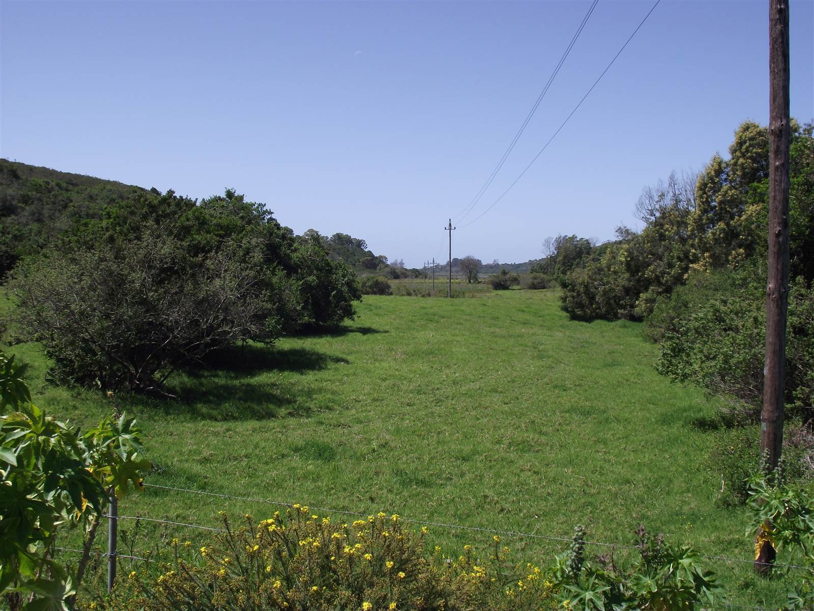 5.4 ha Land available in Wittedrift photo number 10