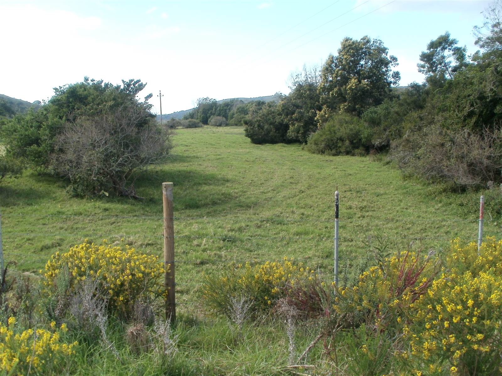 5.4 ha Land available in Wittedrift photo number 14