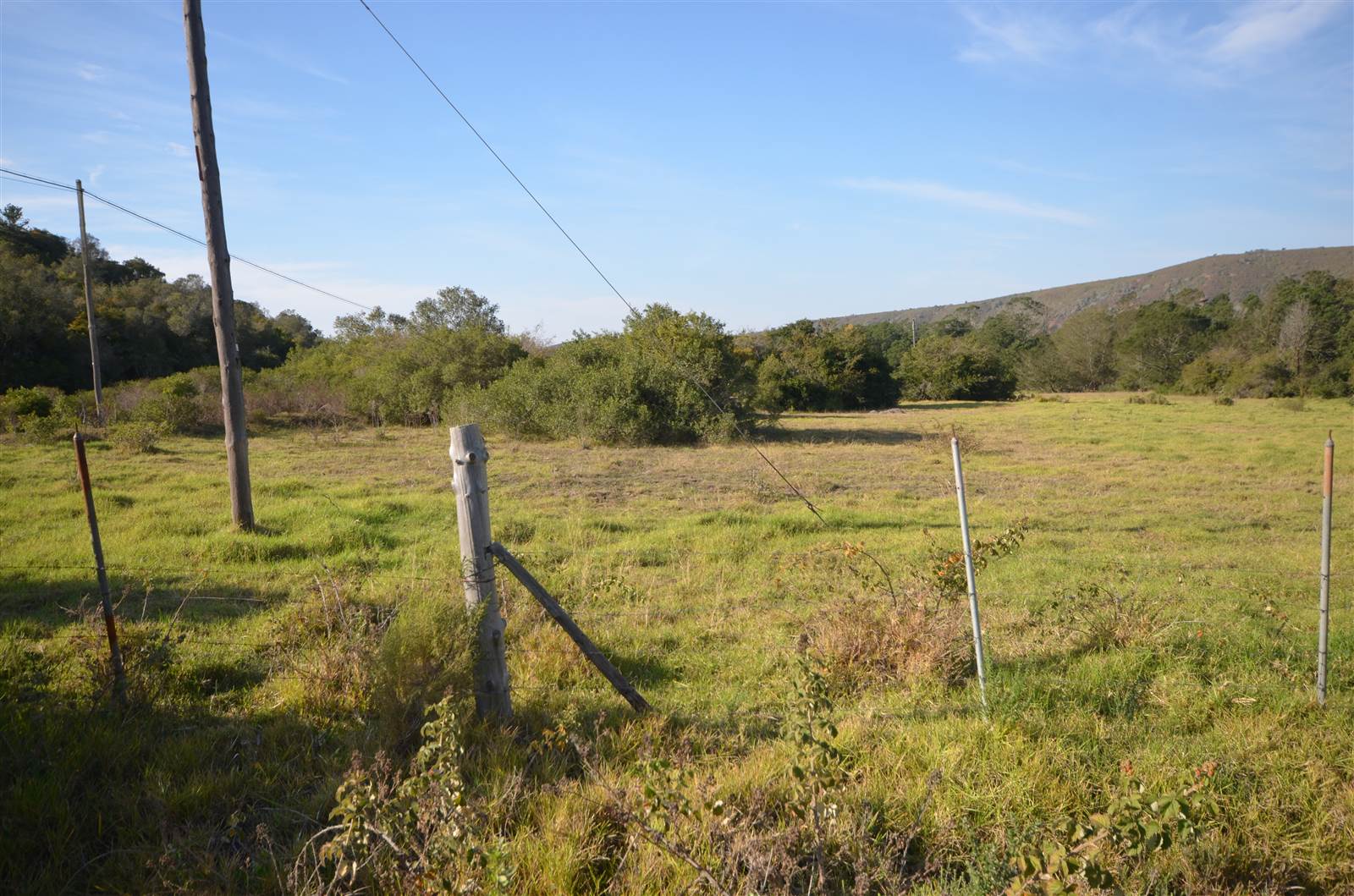 5.4 ha Land available in Wittedrift photo number 4