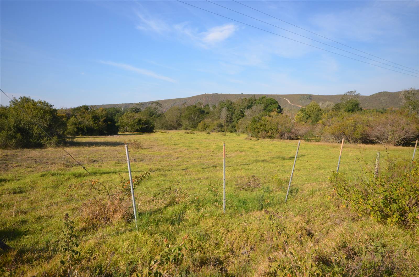 5.4 ha Land available in Wittedrift photo number 3