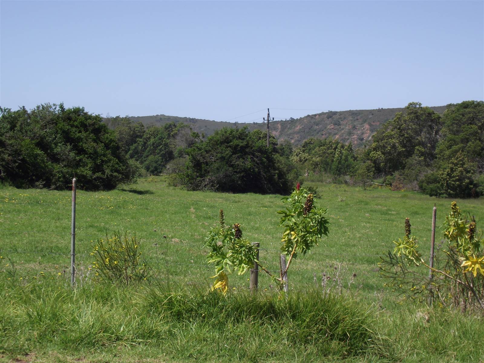 5.4 ha Land available in Wittedrift photo number 11