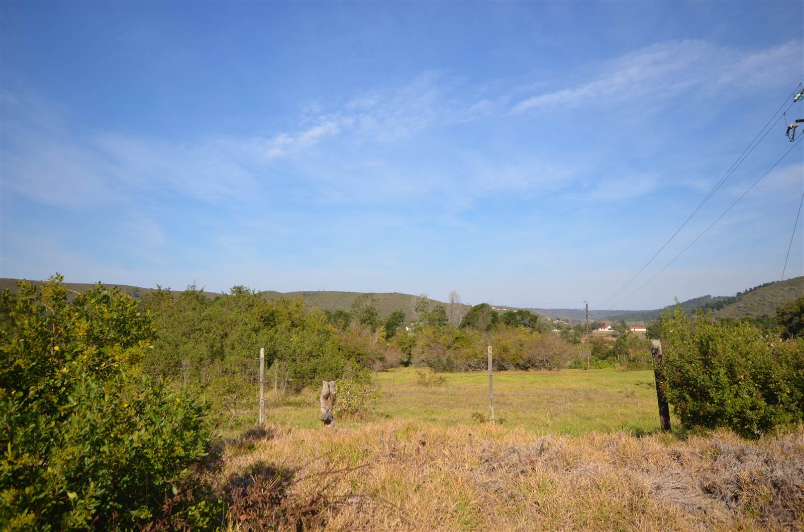 5.4 ha Land available in Wittedrift photo number 5