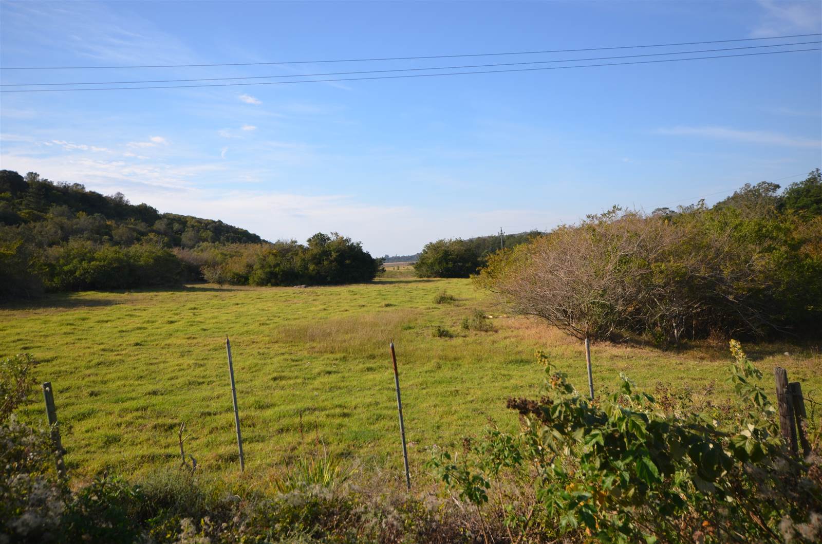 5.4 ha Land available in Wittedrift photo number 1