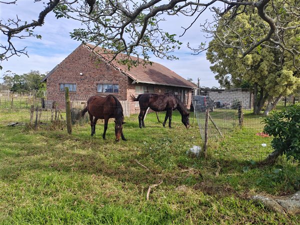Farm Farm