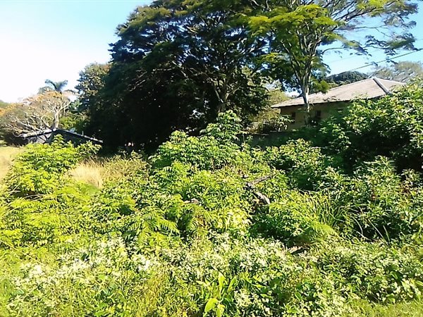 2745 m² Land available in Uvongo