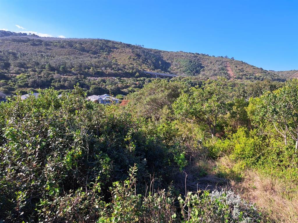 705 m² Land available in Great Brak River photo number 3