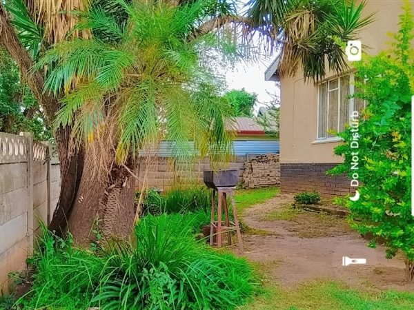 3 Bedroom House 3 Bedroom House