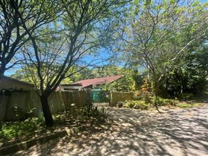 3 Bed House in Pennington