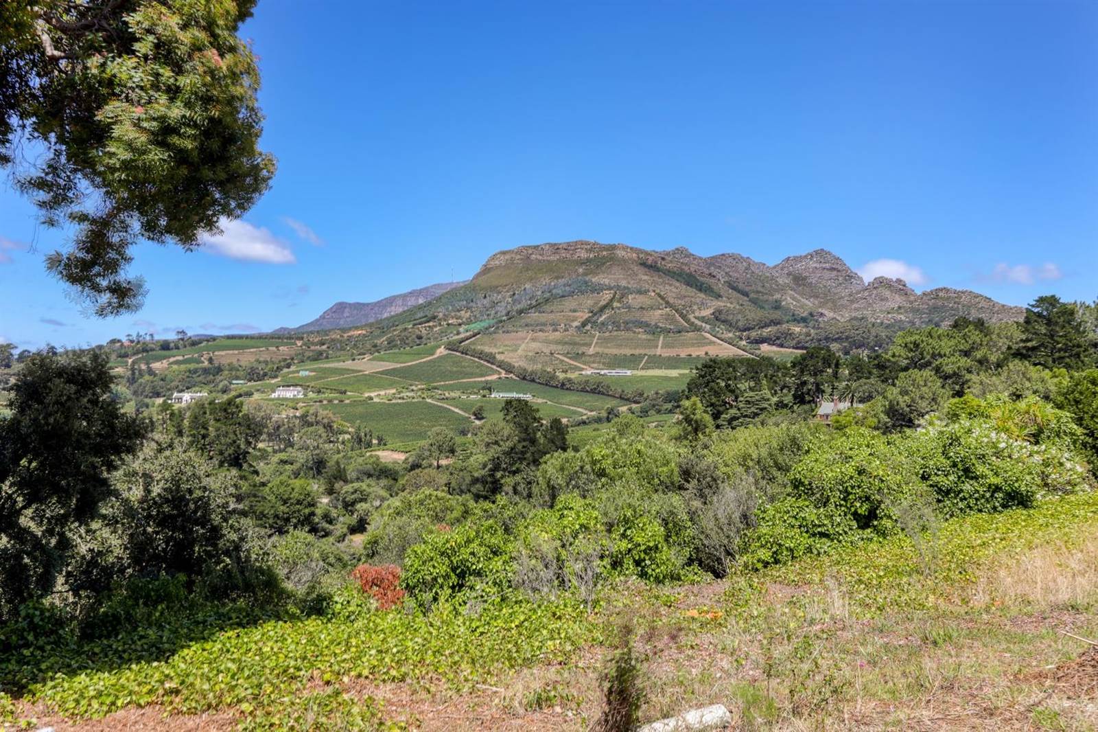 1.8 ha Land available in Constantia photo number 5