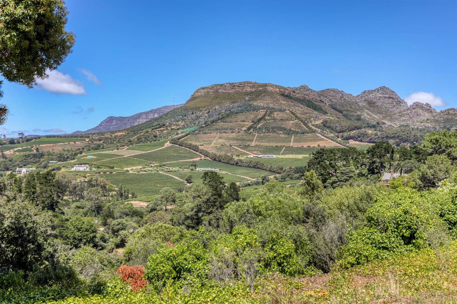 1.8 ha Land available in Constantia photo number 1