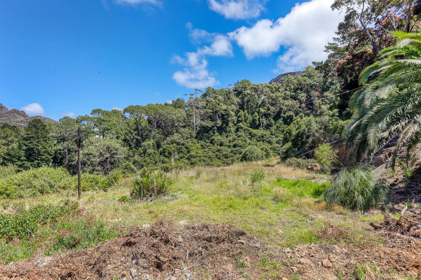 1.8 ha Land available in Constantia photo number 6