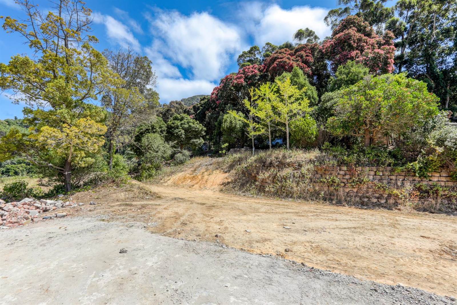 1.8 ha Land available in Constantia photo number 10