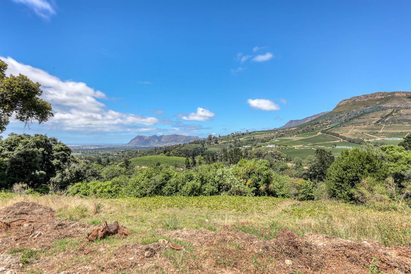 1.8 ha Land available in Constantia photo number 8