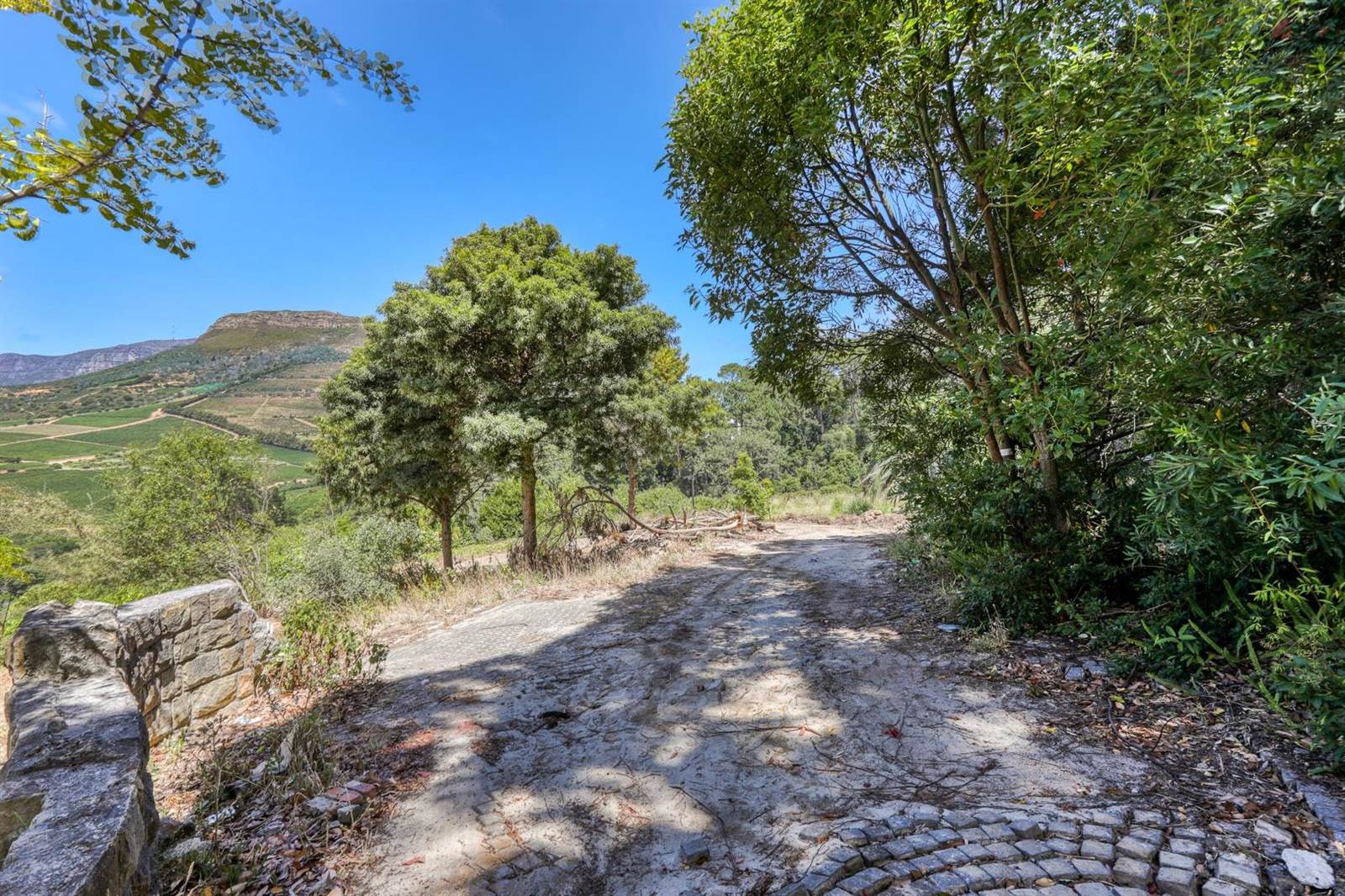 1.8 ha Land available in Constantia photo number 3