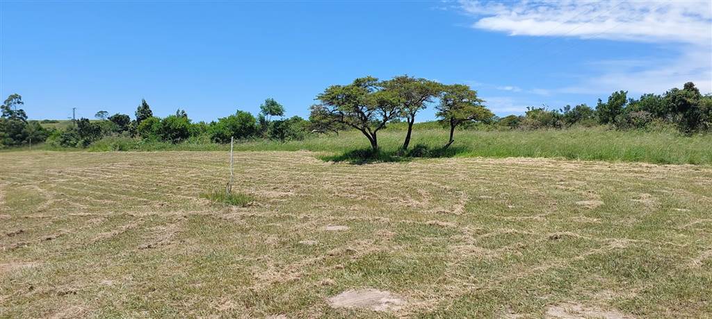 1066 m² Land available in Kwelera photo number 11