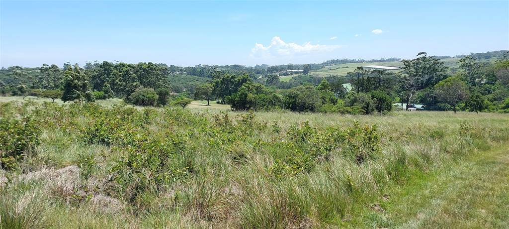 1066 m² Land available in Kwelera photo number 4