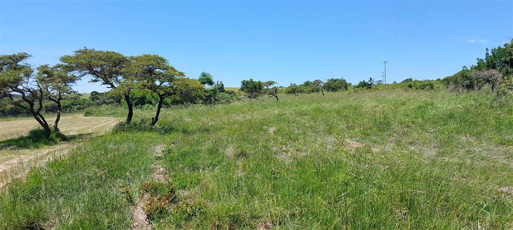 1066 m² Land available in Kwelera photo number 6