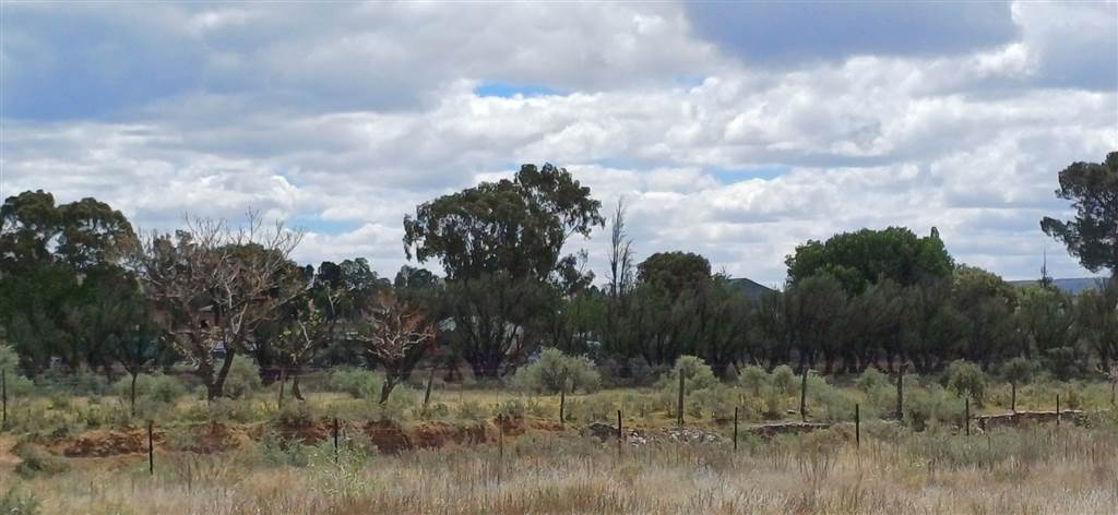 1784 m² Land available in Northern Cape photo number 7
