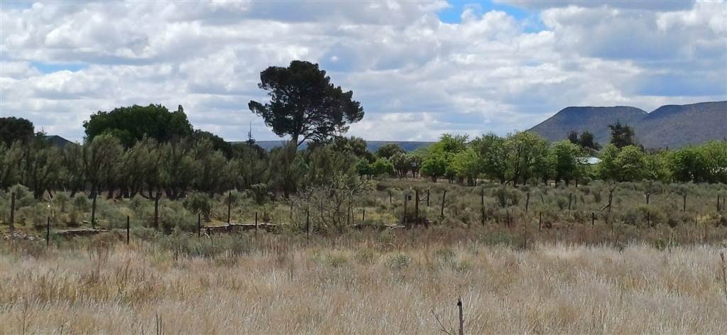 1784 m² Land available in Northern Cape photo number 8