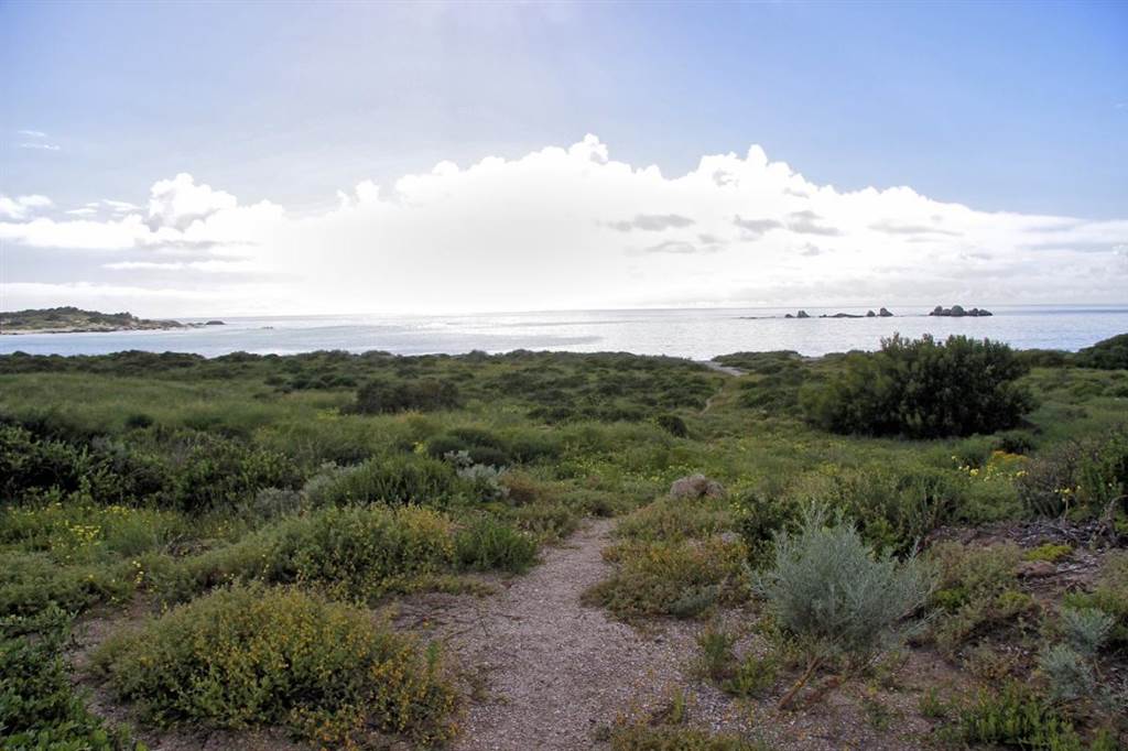 291 m² Land available in Shelley Point photo number 6