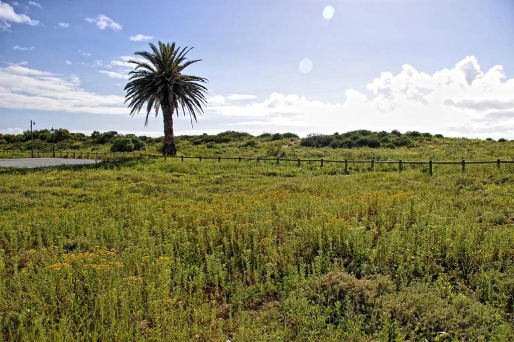 291 m² Land available in Shelley Point photo number 3