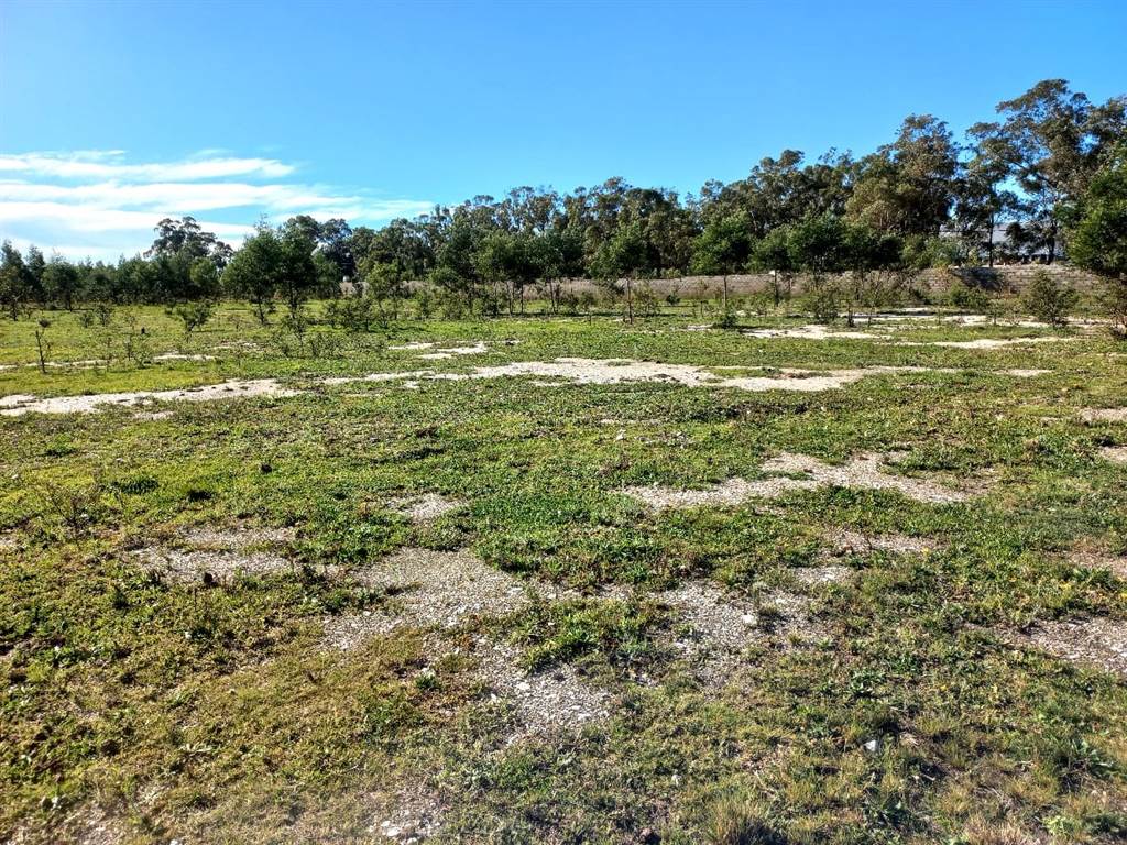 2.7 ha Land available in Greenbushes photo number 6