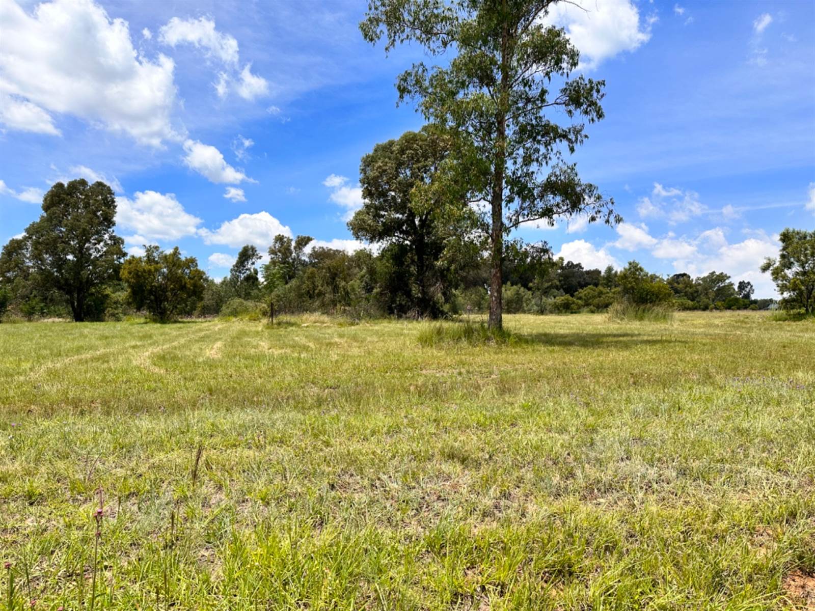 4250 m² Land available in Blair Atholl Estate photo number 2