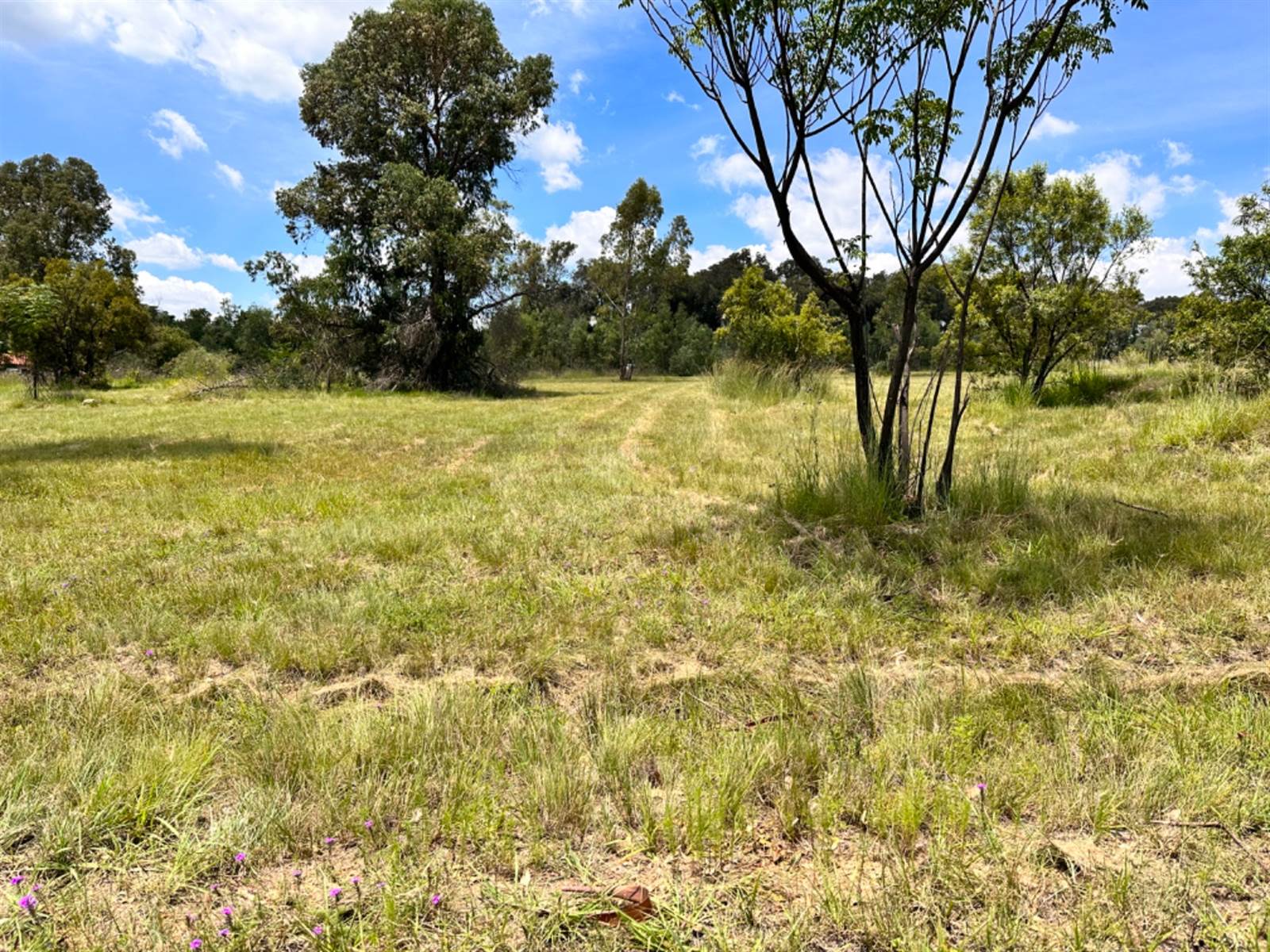 4250 m² Land available in Blair Atholl Estate photo number 3