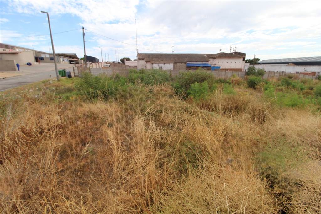 4000 m² Land available in Vredenburg photo number 7