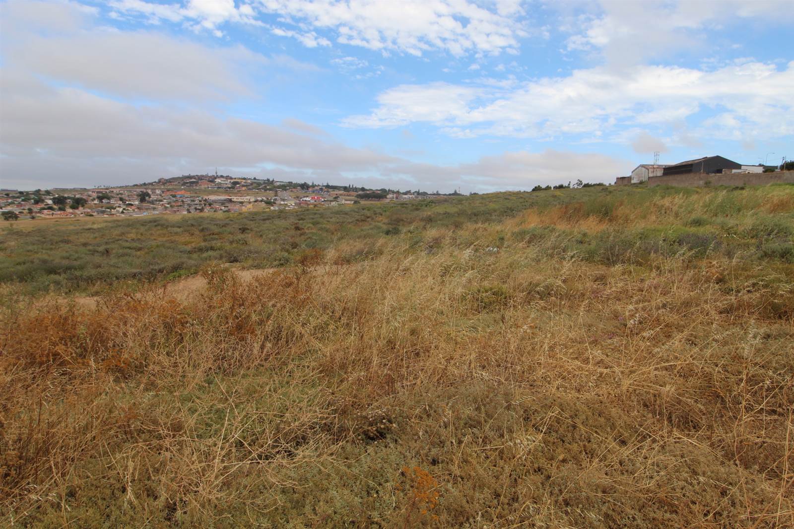4000 m² Land available in Vredenburg photo number 6