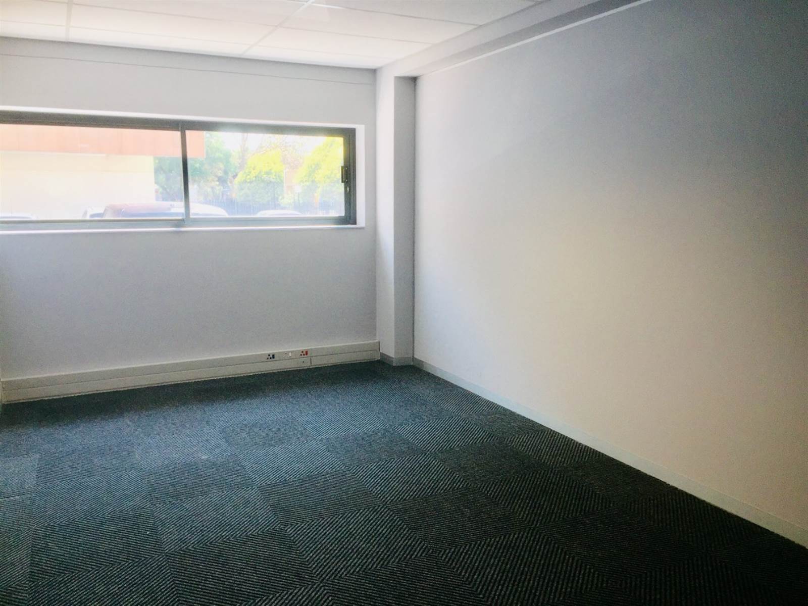 360  m² Commercial space in Parktown photo number 19