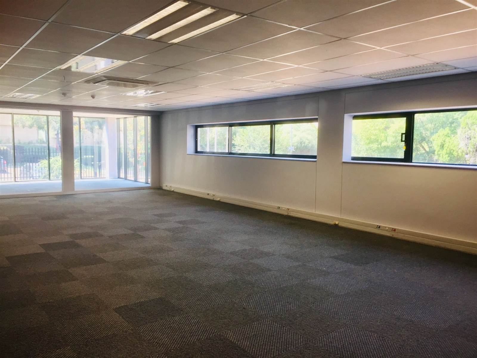 360  m² Commercial space in Parktown photo number 13