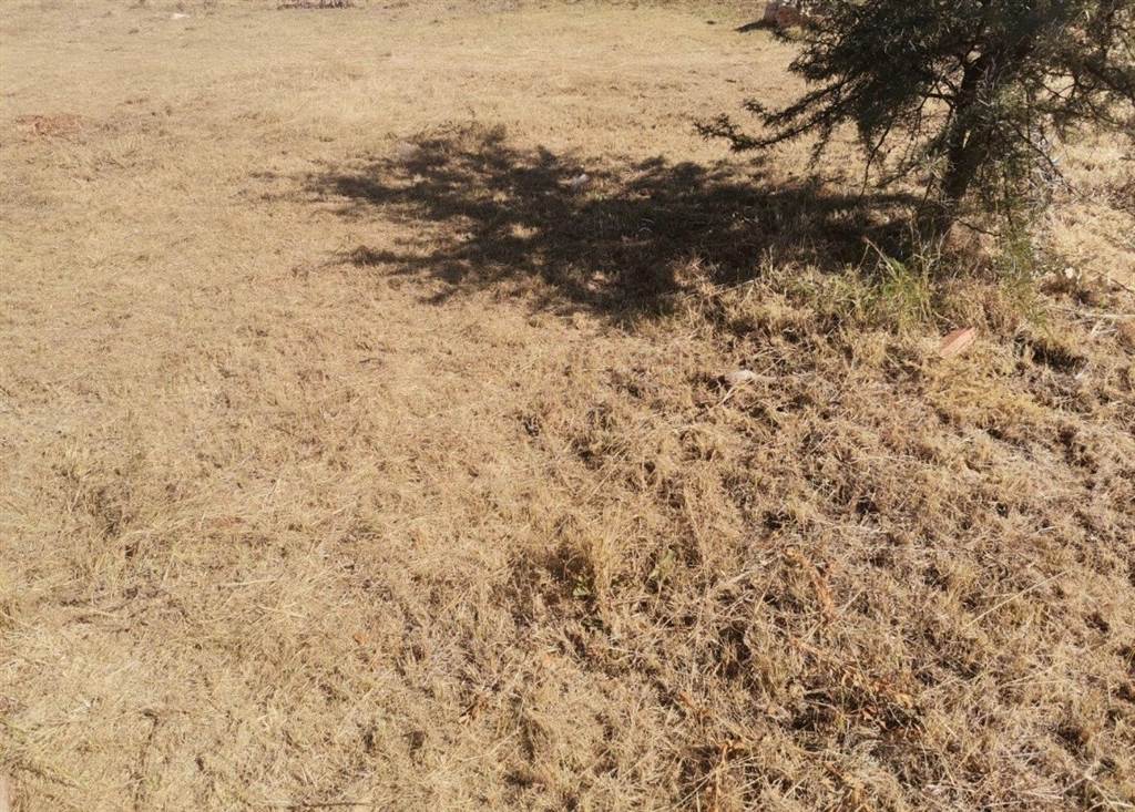 553 m² Land available in Bendor photo number 1