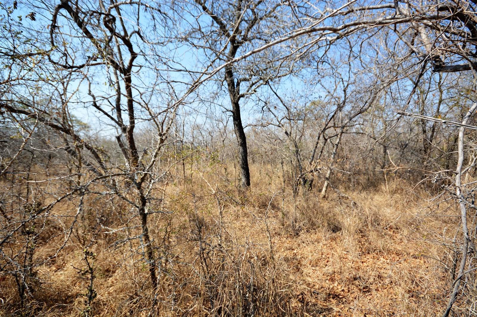 1 ha Land available in Moditlo Nature Reserve photo number 2