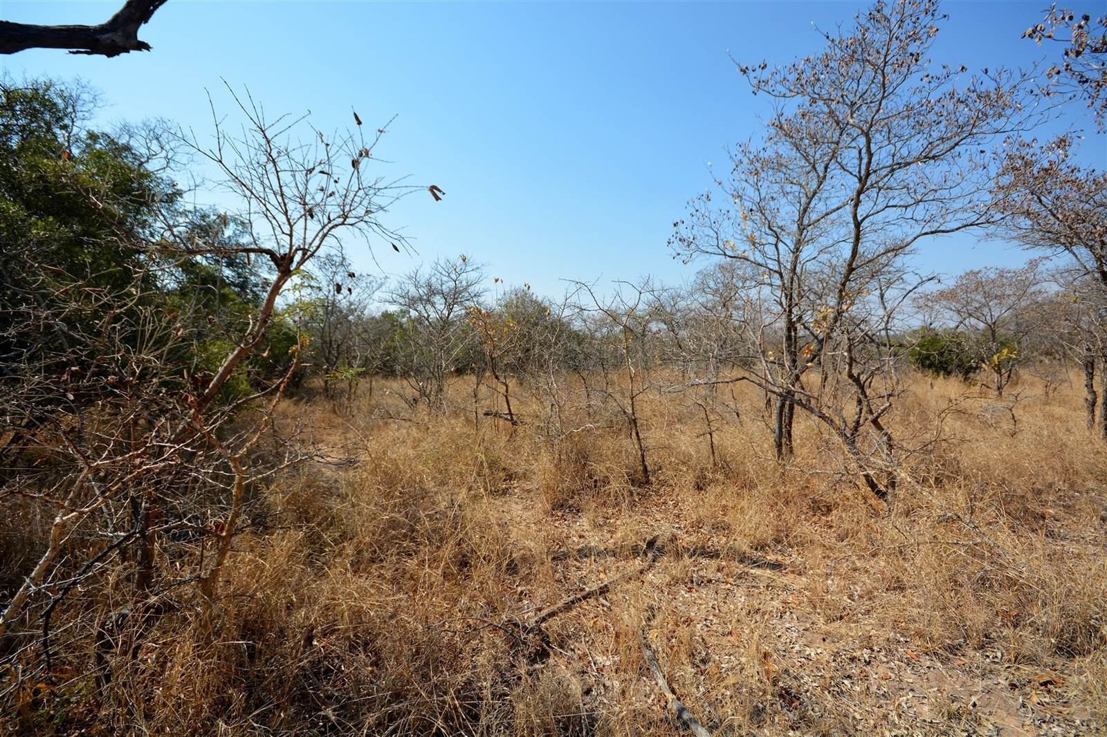 1 ha Land available in Moditlo Nature Reserve photo number 11