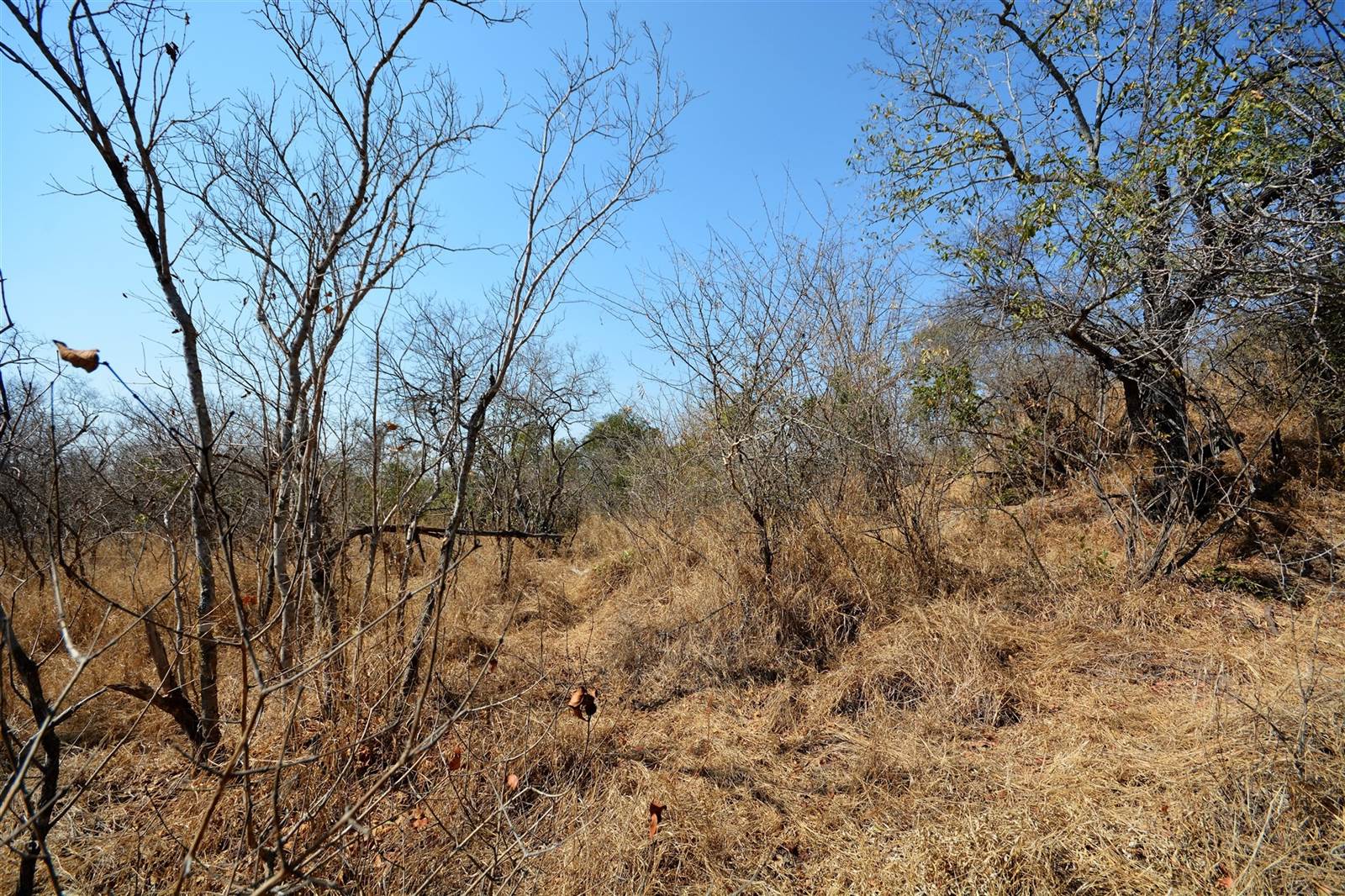 1 ha Land available in Moditlo Nature Reserve photo number 5