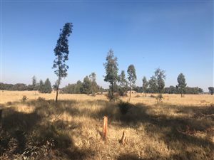 2.4 ha Land available in Valley Settlements AH