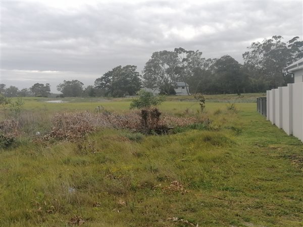 600 m² Land available in Wedgewood Golf Estate