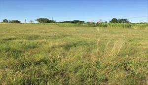 3.5 ha Land available in Blue Hills photo number 3
