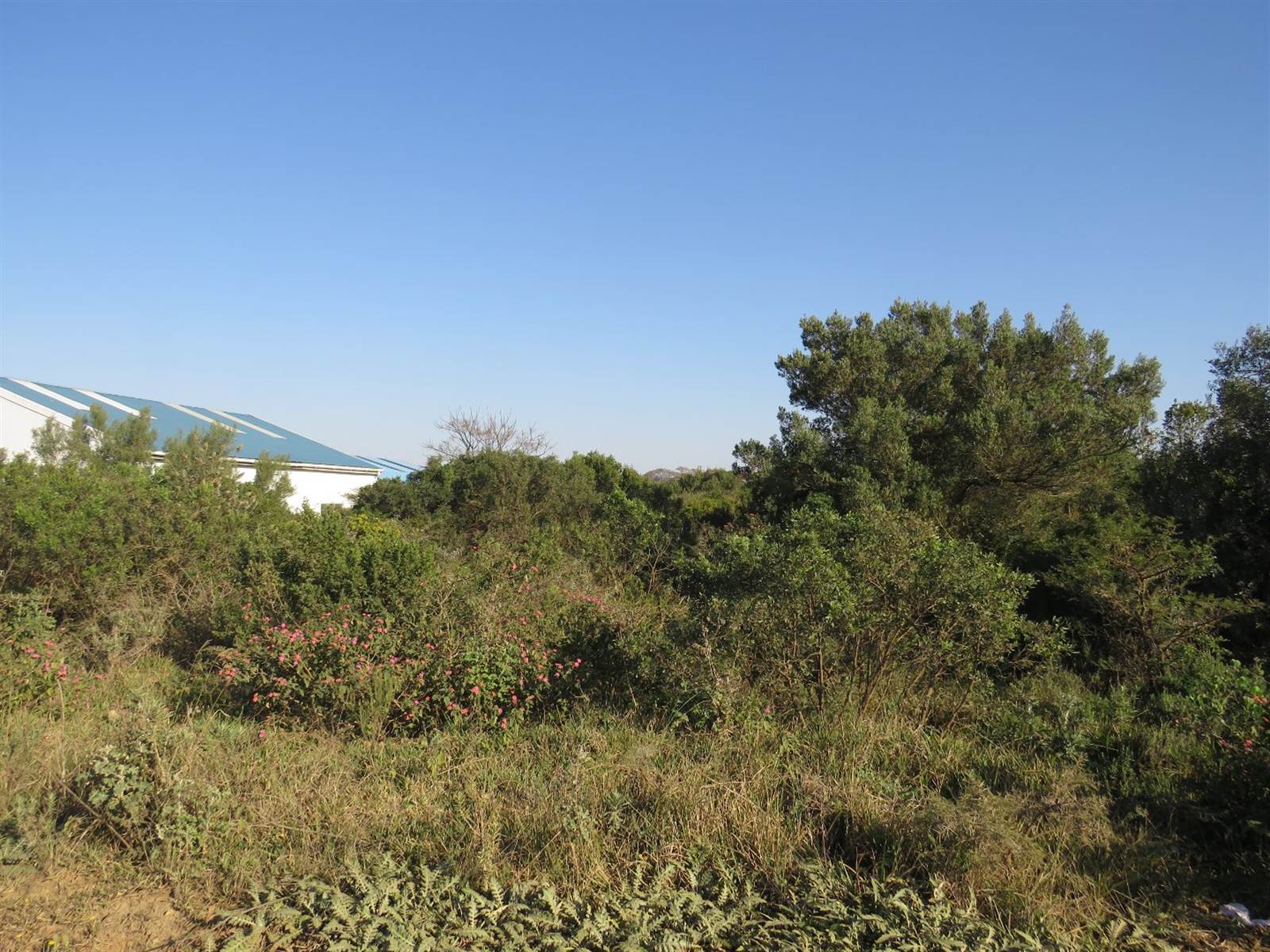 2765 m² Land available in East Bank photo number 3