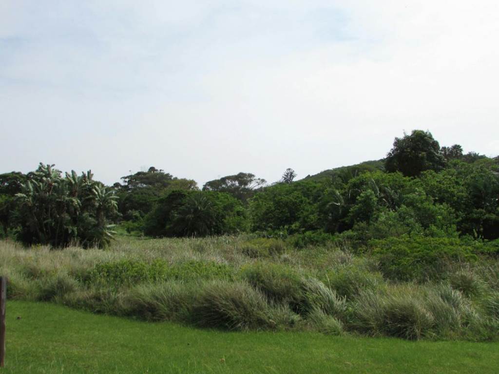 6892 m² Land available in Shelly Beach photo number 3
