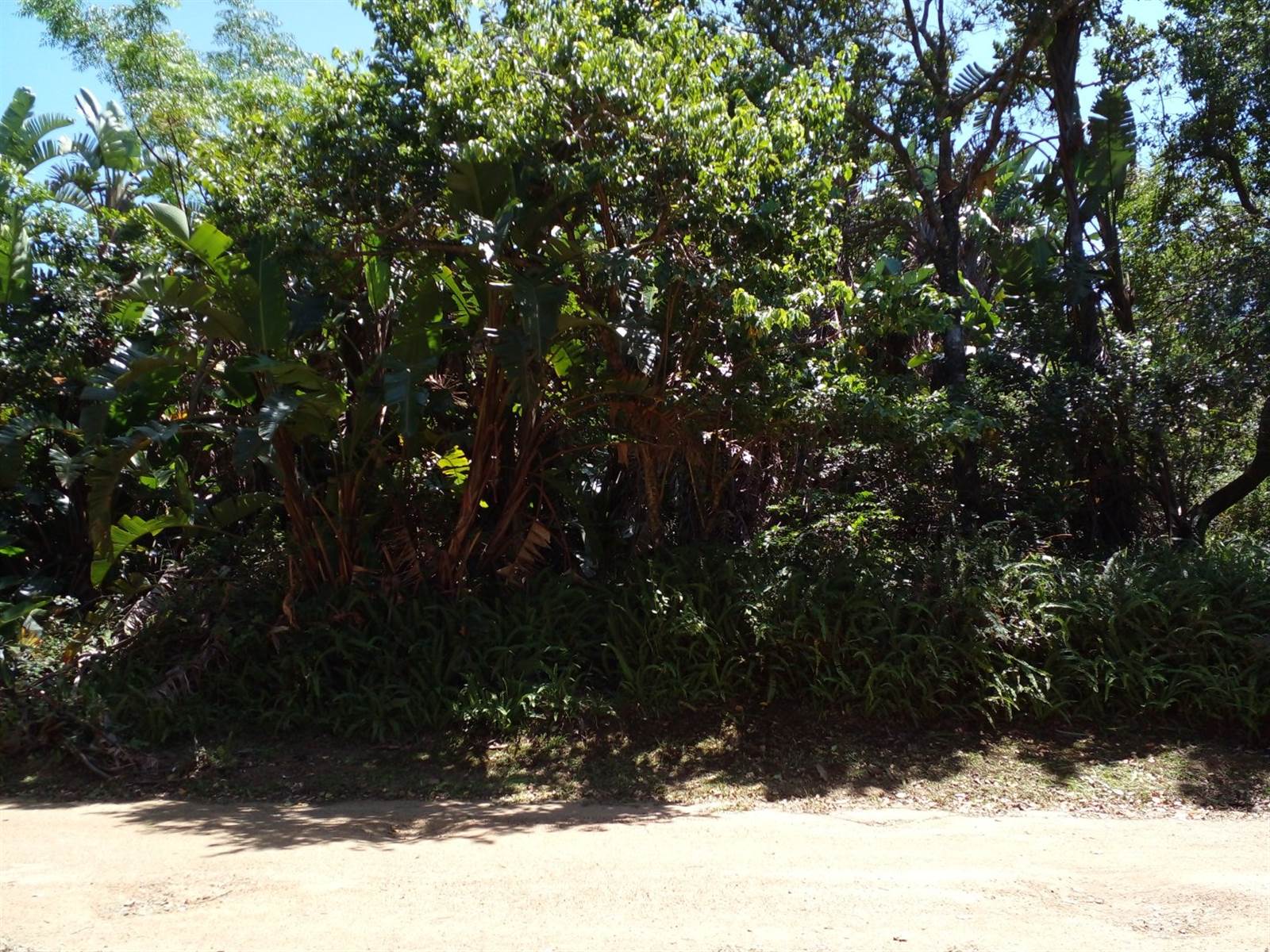 1206 m² Land available in Leisure Bay photo number 1