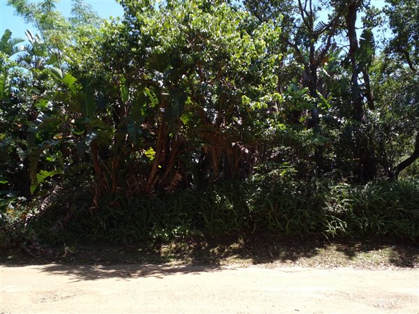 1206 m² Land available in Leisure Bay