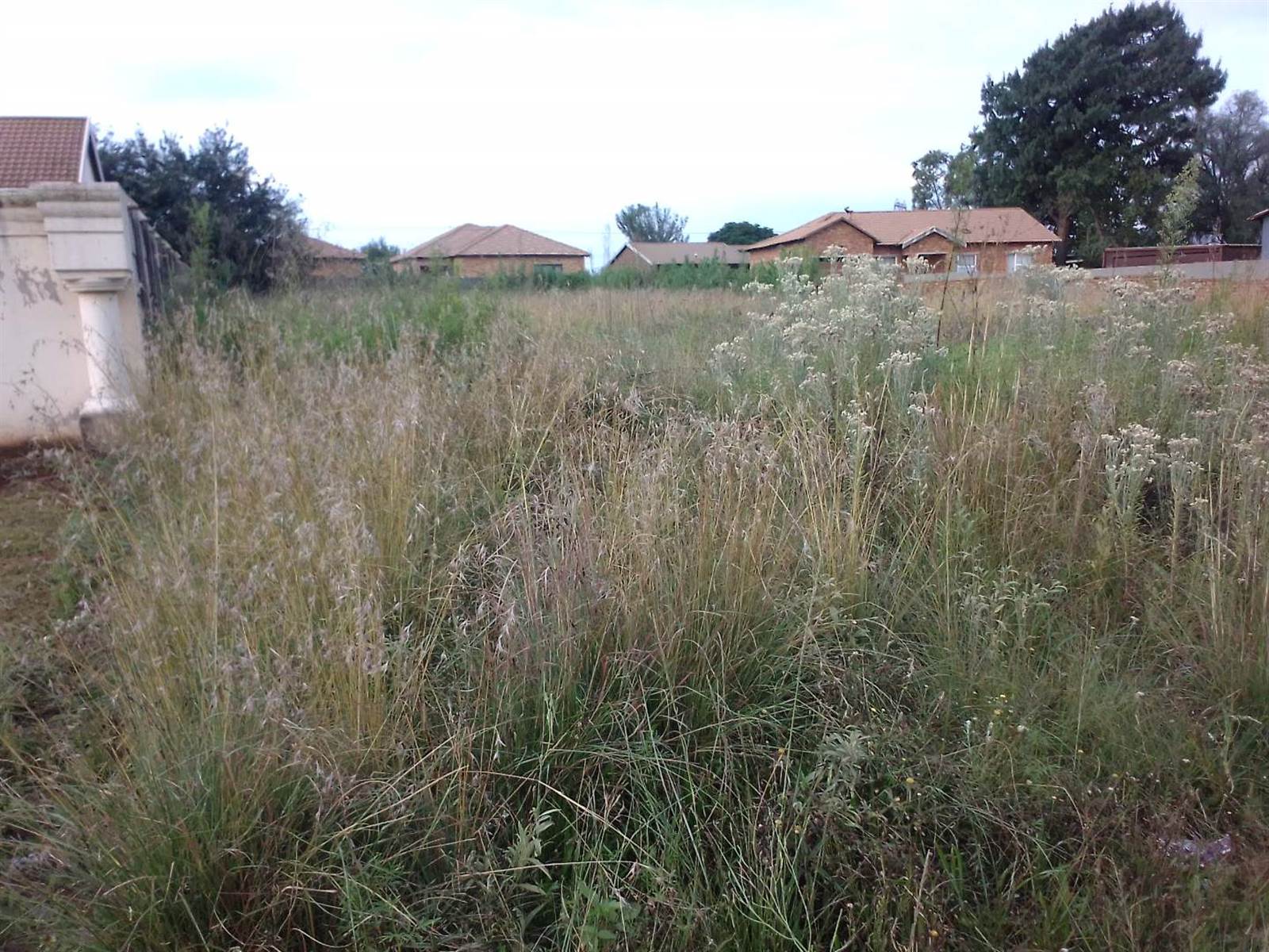 1115 m² Land available in Welgedacht photo number 7
