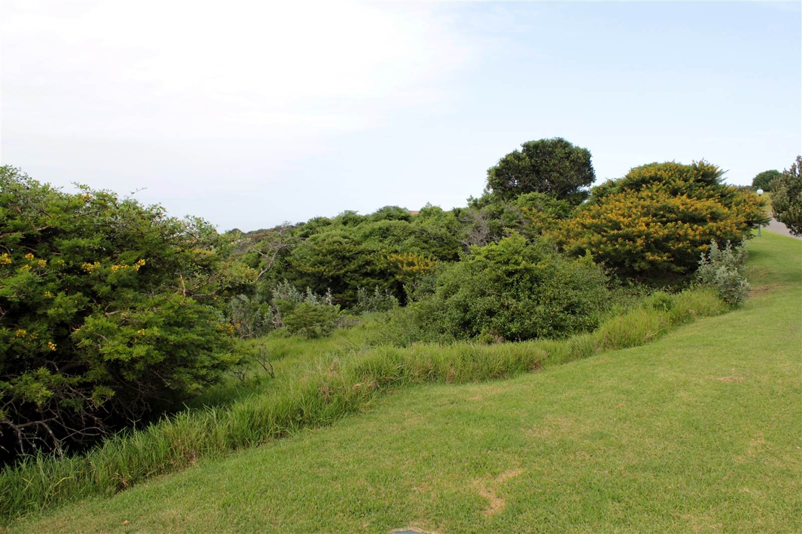 1024 m² Land available in Khamanga Bay photo number 6