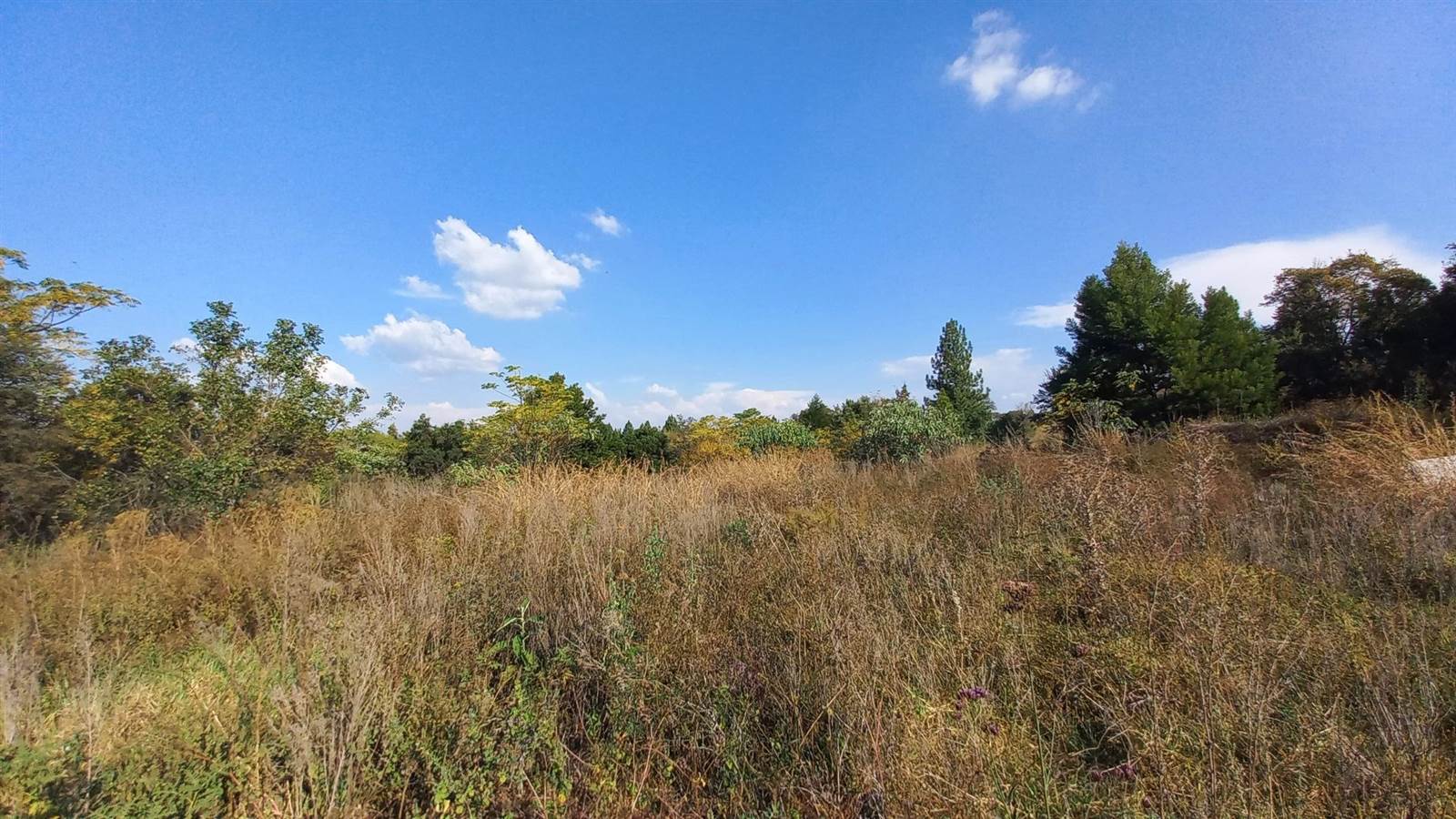 1.1 ha Land available in Zwavelpoort photo number 10