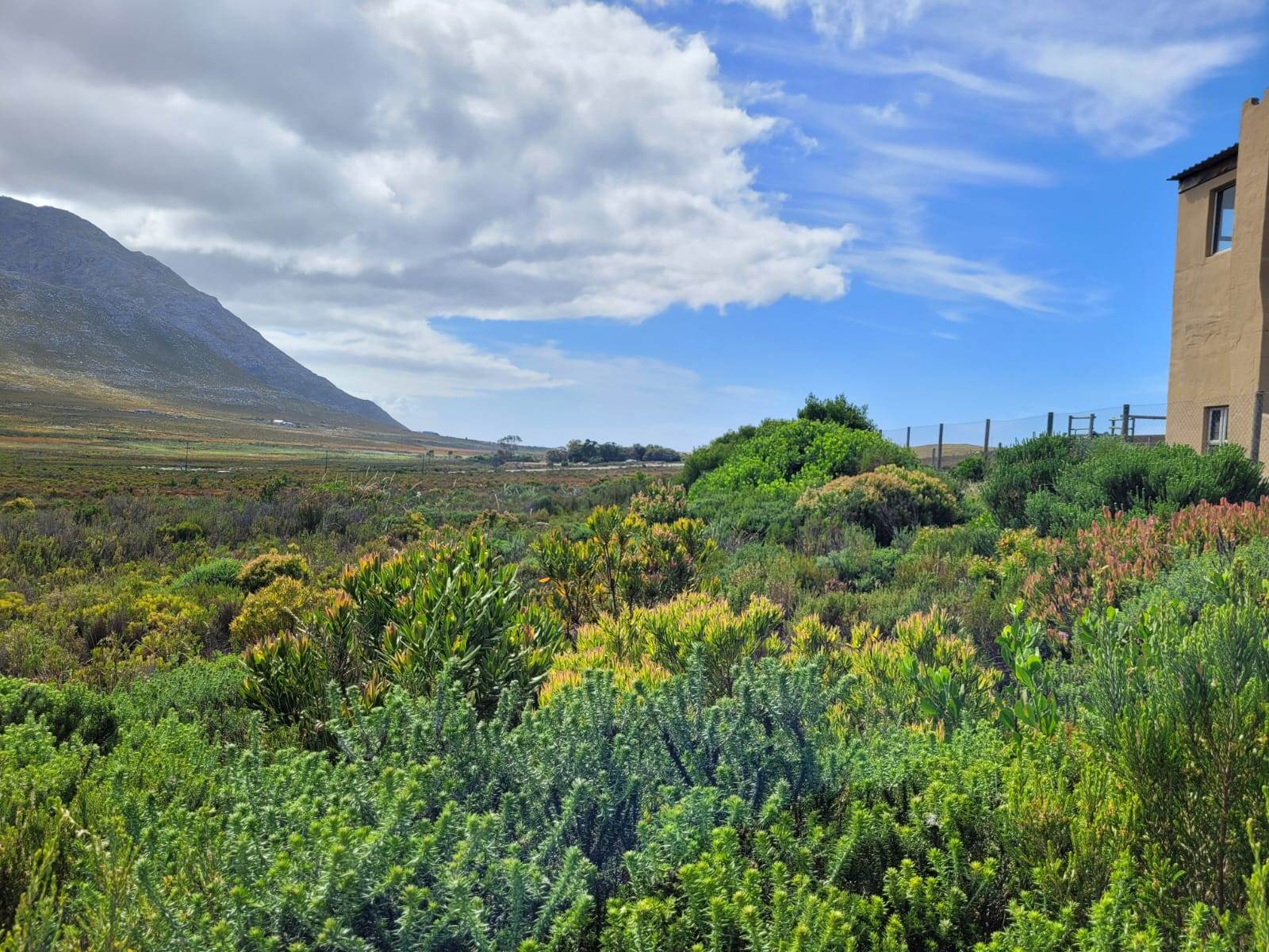 620 m² Land available in Pringle Bay photo number 6