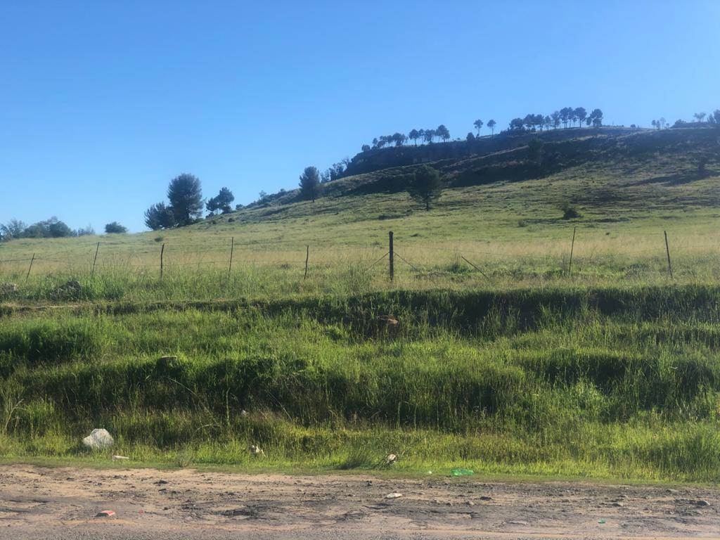 1000 m² Land available in Ficksburg photo number 7