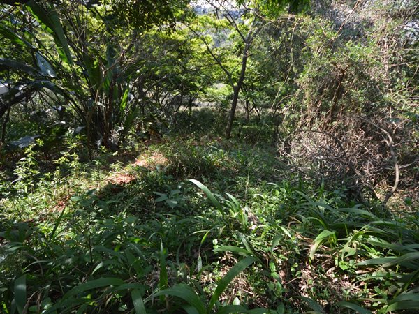 1250 m² Land available in Simbithi Estate